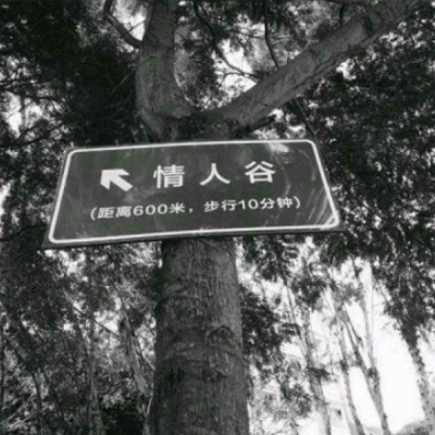 2019最新潮的带字图片大全 朋友圈背景潮图带字伤感
