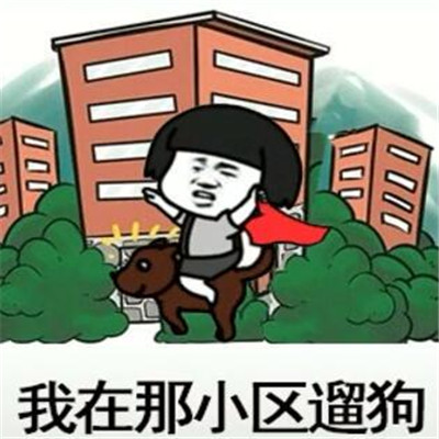 抖音我在那小区遛狗表情包大全高清 我在那小区遛狗微信搞笑表情包