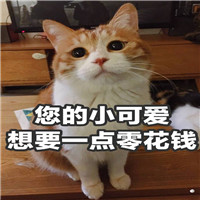2017双十一版喵星人表情包 你的小可爱想要一点点零花钱