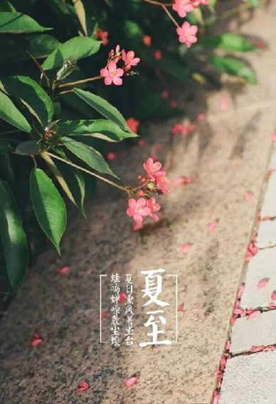 2018夏至图片大全唯美带字 最新夏至节气图片配文字
