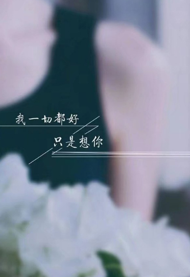 伤感文字手机壁纸图片大全2018 上当不是别人太狡猾而是自己太贪