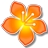 banacast playerv1.2 官方版