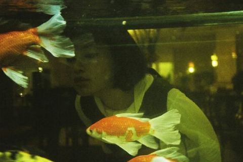 累了给自己鼓励的个性签名 岁月是慢性流浪远方依然是远方
