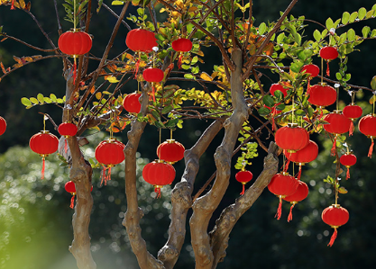2019正月十五元宵节说说大全 2019元宵节朋友圈发的祝福语说说