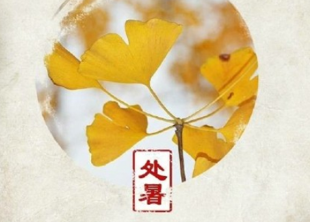 今日处暑的说说2018精选 处暑节气朋友圈说说经典好听一句话