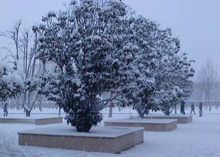 2018大雪节气说说唯美暖心一句话 最新适合发微信朋友圈大雪节气说说